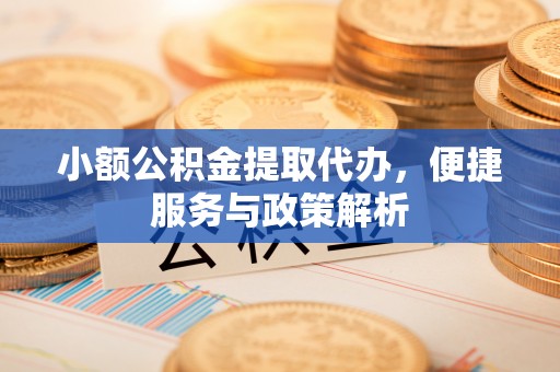 罗城小额公积金提取代办，便捷服务与政策解析