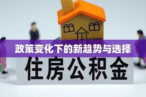 罗城政策变化下的新趋势与选择