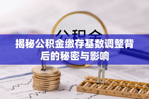 罗城揭秘公积金缴存基数调整背后的秘密与影响