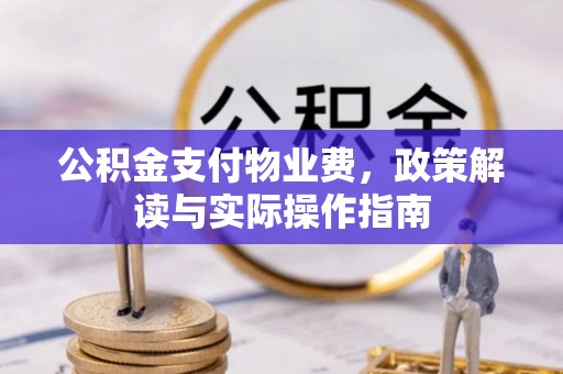 罗城公积金支付物业费，政策解读与实际操作指南