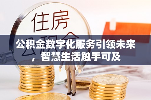 罗城公积金数字化服务引领未来，智慧生活触手可及
