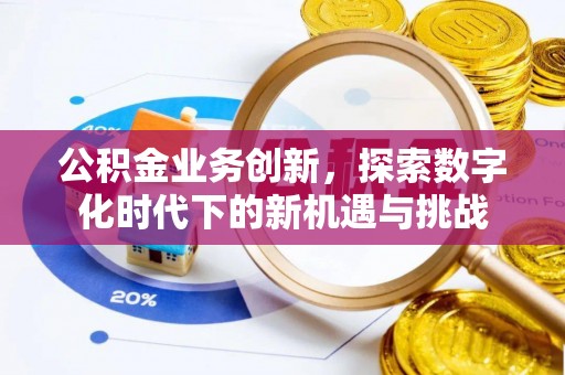 罗城公积金业务创新，探索数字化时代下的新机遇与挑战