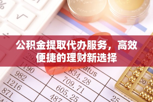 罗城公积金提取代办服务，高效便捷的理财新选择