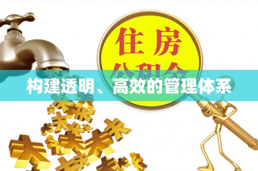 罗城构建透明、高效的管理体系
