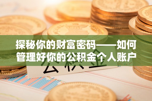 罗城探秘你的财富密码——如何管理好你的公积金个人账户信息