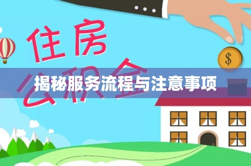 罗城揭秘服务流程与注意事项