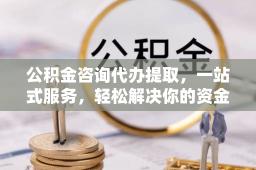 罗城公积金咨询代办提取，一站式服务，轻松解决你的资金难题