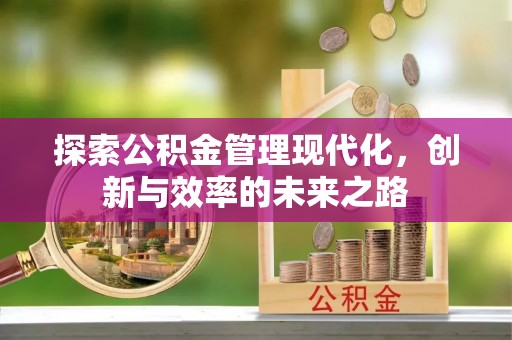 罗城探索公积金管理现代化，创新与效率的未来之路