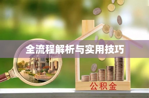 罗城全流程解析与实用技巧