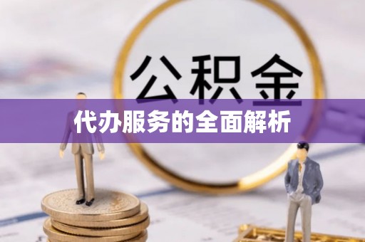 罗城代办服务的全面解析