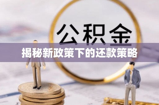 罗城揭秘新政策下的还款策略
