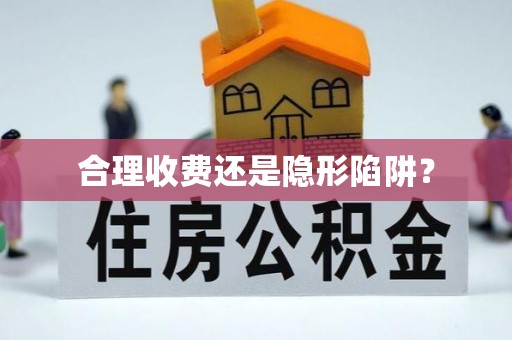 罗城合理收费还是隐形陷阱？