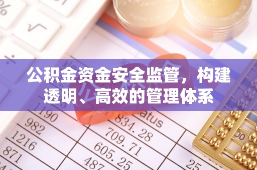 罗城公积金资金安全监管，构建透明、高效的管理体系