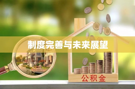 罗城制度完善与未来展望