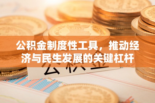 罗城公积金制度性工具，推动经济与民生发展的关键杠杆