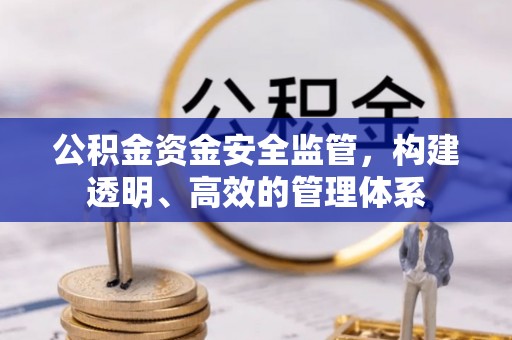 罗城公积金资金安全监管，构建透明、高效的管理体系