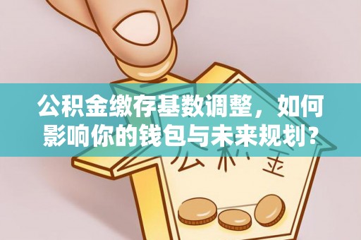 罗城公积金缴存基数调整，如何影响你的钱包与未来规划？