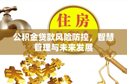 罗城公积金贷款风险防控，智慧管理与未来发展