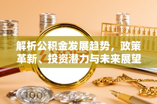 罗城解析公积金发展趋势，政策革新、投资潜力与未来展望