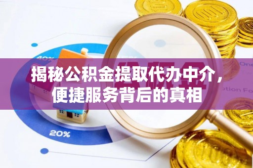 罗城揭秘公积金提取代办中介，便捷服务背后的真相