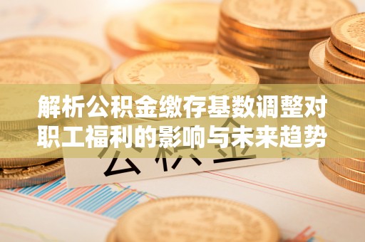 罗城解析公积金缴存基数调整对职工福利的影响与未来趋势