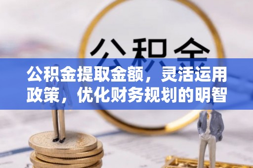 罗城公积金提取金额，灵活运用政策，优化财务规划的明智选择