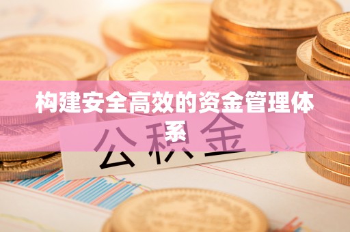 罗城构建安全高效的资金管理体系