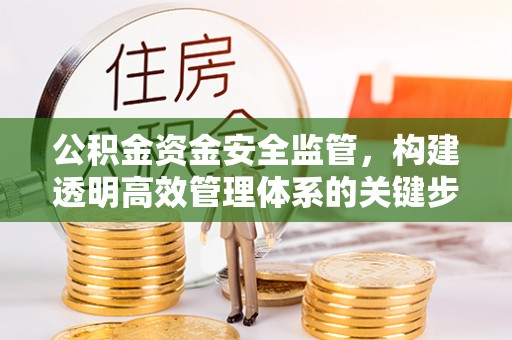 罗城公积金资金安全监管，构建透明高效管理体系的关键步骤