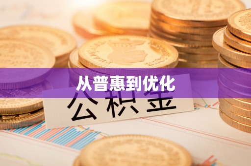 罗城从普惠到优化