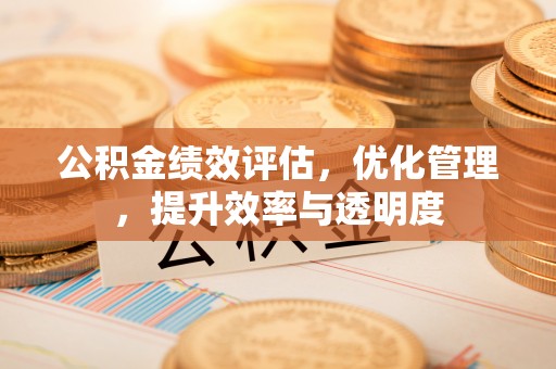 罗城公积金绩效评估，优化管理，提升效率与透明度