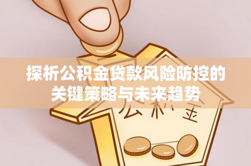 罗城探析公积金贷款风险防控的关键策略与未来趋势