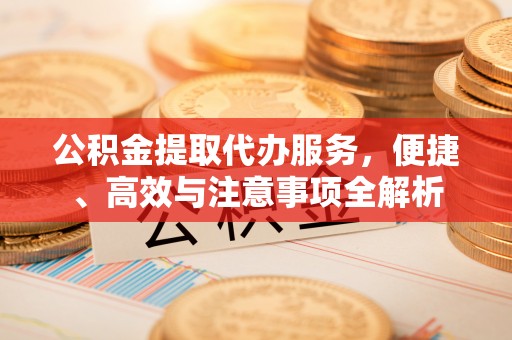 罗城公积金提取代办服务，便捷、高效与注意事项全解析