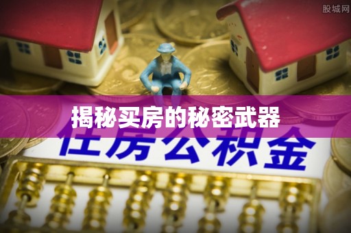 罗城揭秘买房的秘密武器