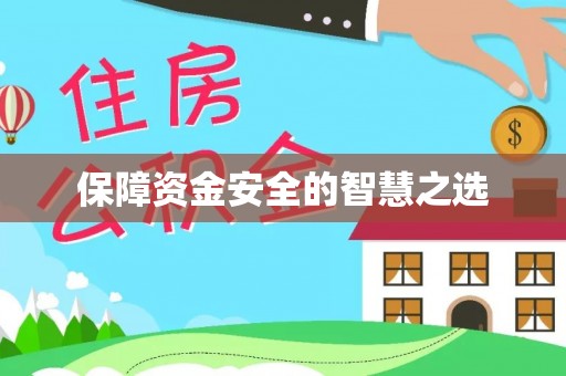 罗城保障资金安全的智慧之选