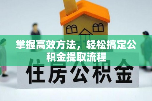 罗城掌握高效方法，轻松搞定公积金提取流程