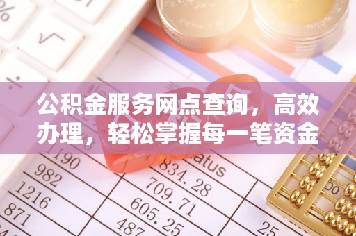 罗城公积金服务网点查询，高效办理，轻松掌握每一笔资金动态