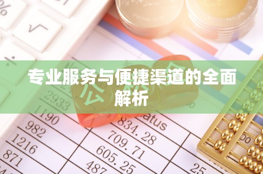 罗城专业服务与便捷渠道的全面解析