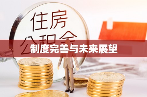 罗城制度完善与未来展望