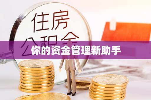 罗城你的资金管理新助手