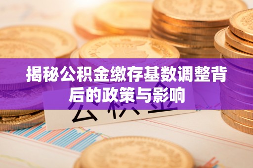 罗城揭秘公积金缴存基数调整背后的政策与影响