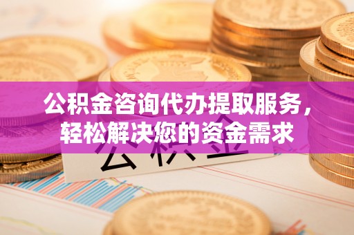 罗城公积金咨询代办提取服务，轻松解决您的资金需求