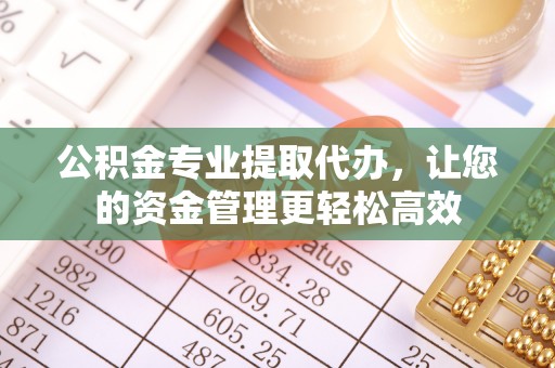 罗城公积金专业提取代办，让您的资金管理更轻松高效