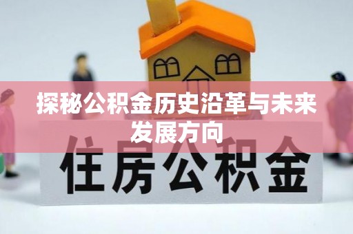 罗城探秘公积金历史沿革与未来发展方向