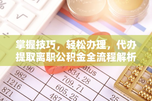 罗城掌握技巧，轻松办理，代办提取离职公积金全流程解析
