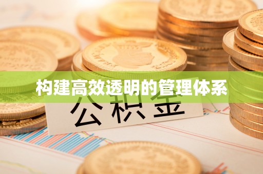 罗城构建高效透明的管理体系