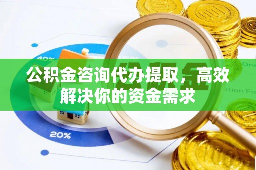罗城公积金咨询代办提取，高效解决你的资金需求