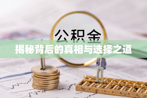 罗城揭秘背后的真相与选择之道