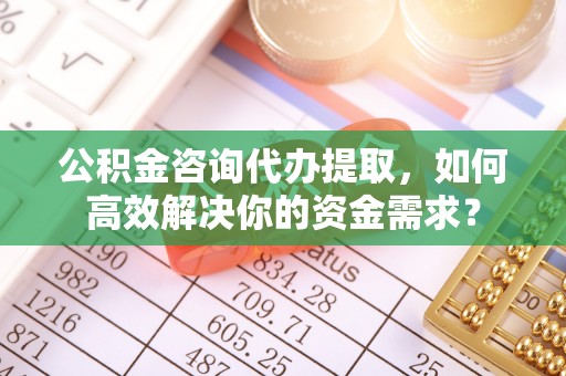 罗城公积金咨询代办提取，如何高效解决你的资金需求？
