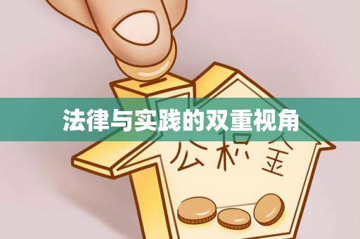 罗城法律与实践的双重视角