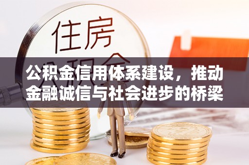 罗城公积金信用体系建设，推动金融诚信与社会进步的桥梁